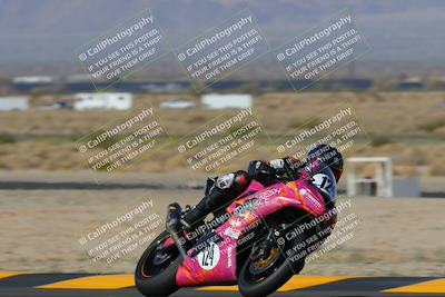 media/Feb-04-2023-SoCal Trackdays (Sat) [[8a776bf2c3]]/Turn 11 (945am)/